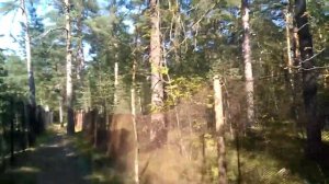 Большая ижора часть 1