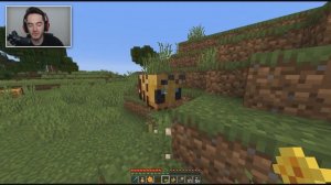 Everything You Need To Know About Bees In Minecraft 1.15