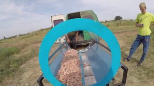 Калибровка зубчиков чеснока.