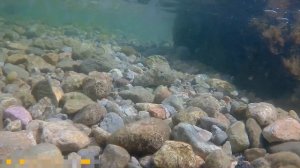 Плаванье под водой в черном море.Бухта Ласпи. Подводный Крым у мыса Айя.. Под водный туризм в Крыму