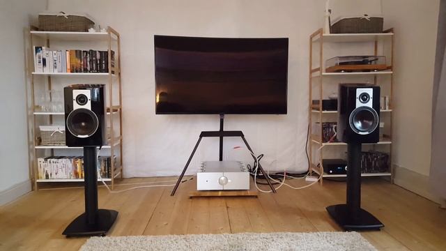 Dali Epicon 2 playing Infected Mushroom смотреть онлайн