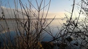 Сила Крещенской воды. Чудо или наука.