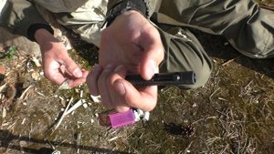 Обзор и тест сигнала охотника