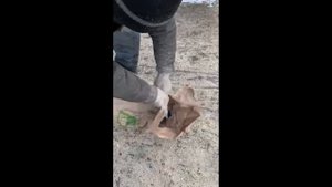 Уголь на 5 кг