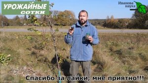 Замазка В 100 РАЗ ЛУЧШЕ любого покупного средства Лечебный состав ЛЬНЯНОЕ ЙОДНОЕ МАСЛО своими рукам