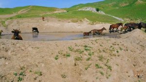 Бохтар - Хатлон - Таджикистан | Bokhtar - Khatlon - Tajikistan