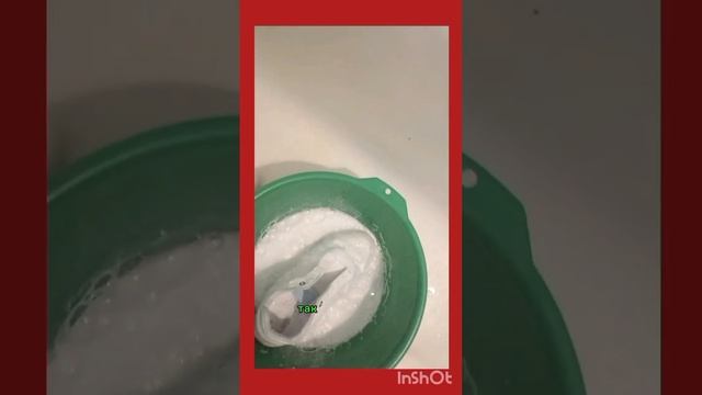 Как отстирать кеды