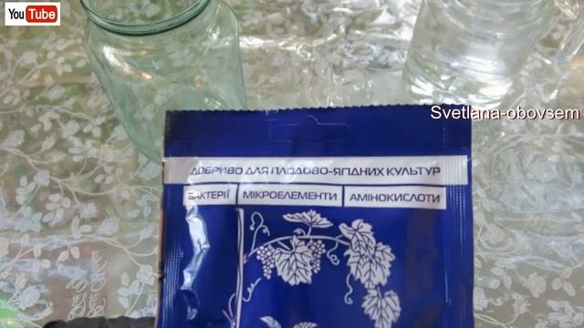 ТЕПЕРЬ Я РАЗВОЖУ ФИТОСПОРИН ТОЛЬКО ТАК.ОБЕЗЗАРАЖИВАНИЕ ГРЯДОК ОТ БОЛЕЗНЕТВОРНЫХ ГРИБКОВ смотреть онлайн