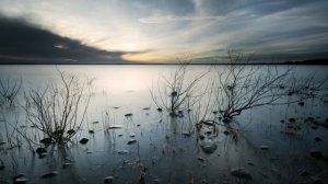 Grigory Sokolov - Chopin - Mazurka No 3 in C-sharp minor, Op 63