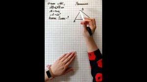 Теорема о площади треугольника. 9 класс