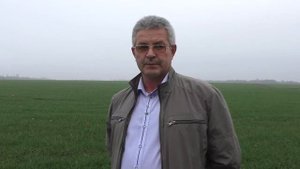 Осеннее применение фунгицидов