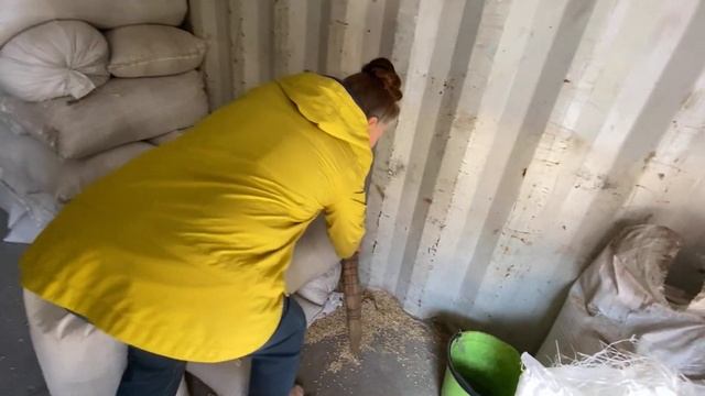 Эффективный способ борьбы с грузынами. Как сохранить урожай? смотреть онлайн