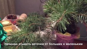 Композиция из сосновых веток