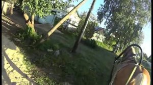 Работа на лошади в хозяйстве. Песок.