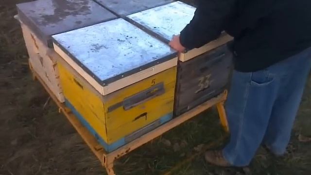 Промышленная пасека 1300 семей, #1 смотреть онлайн