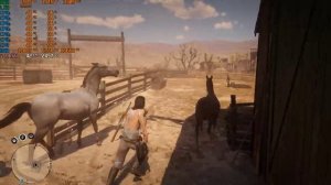 Red Dead Redemption 2 GTX 950 2GB AMD FX 6300 RAM 16