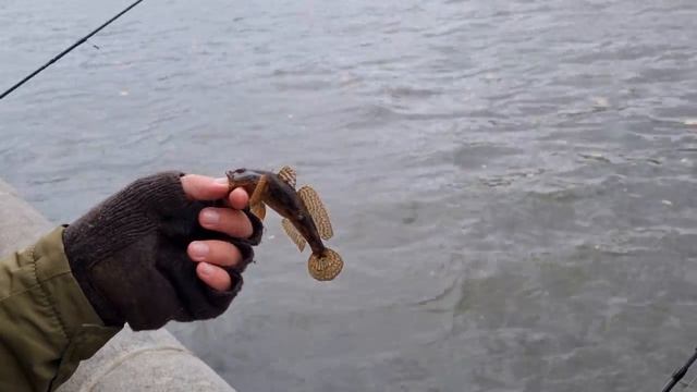 10-ти часовая РЫБАЛКА!/ Ловлю от РАССВЕТА до ЗАКАТА!!/ Размер имеет значение!? смотреть онлайн