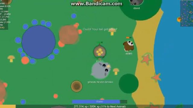 день вкусных животных в мопио смотреть онлайн