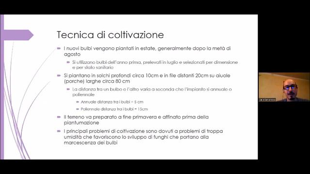 Lo zafferano di Claut // Esperti in erbe, Natura&Colore 2023 смотреть онлайн