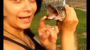 Ленинград-рыба моей мечты