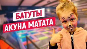 Детский Развлекательный центр "Акуна Матата" - Горки, Батуты, Море Развлечений