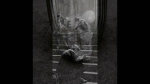 Вивиан Майер (Vivian Maier)