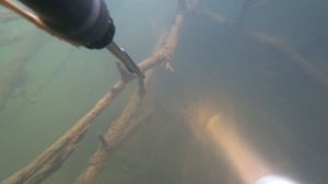 Подводная охота на р.Пьяна