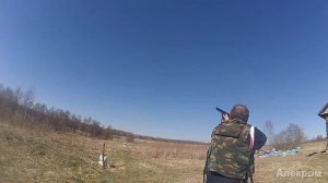 Стрельба по "тарелочкам"