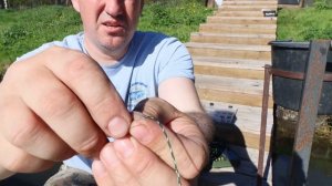 ВЯЖЕМ #ЛИДКОРЫ  БЫСТРО ! Карповый монтаж!