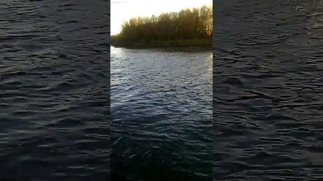 Рыбалка Урал Г Оренбург сазан на 3.5кг смотреть онлайн