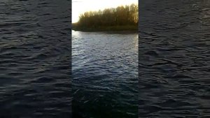 Рыбалка Урал Г Оренбург сазан на 3.5кг