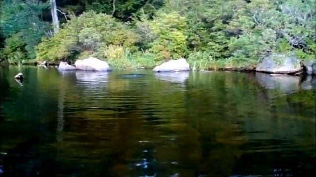 River Otter 2 смотреть онлайн