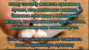 Как хранить чеснок на зиму в домашних условиях чтобы не высох