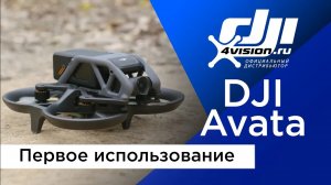 DJI Avata - Первое использование (на русском).mp4