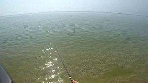 Веселовка ОСЕНЬ 2020. Рыбалка Спиннинг Сарган.