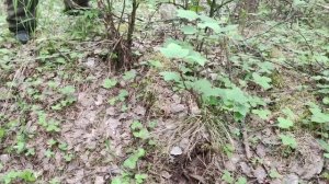 Метталлокоп2023,Очередная поездка за металлом и по красивым места!!КАПАНУЛИ 1,5 Т ЗА 9 ЧАСОВ😀