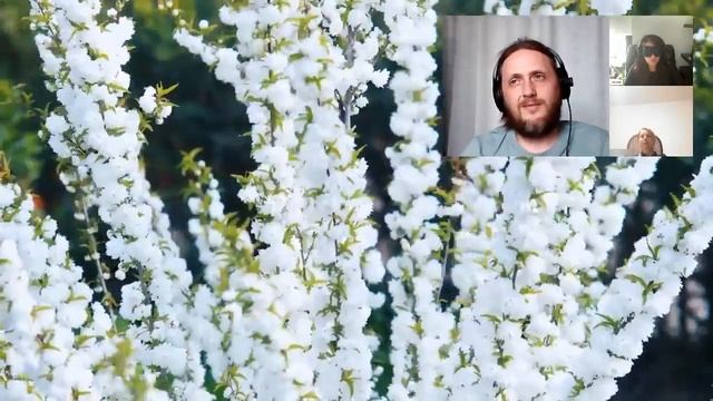 Отвергла претензии антимира. Сеанс для Людмилы. 1004 смотреть онлайн