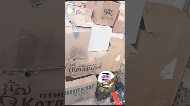 2 марта 2024 г. смотреть онлайн