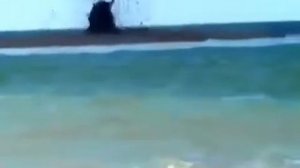 Море Вулкан проснулся на пляже Азовского моря