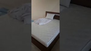 Отзыв о матрасе Lonax Relax ППУ Cocos S1000 160*200 и магазине «Анатомия сна»