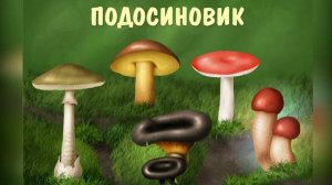 Развивающие мультики на русском языке.Смотреть развивающие мультики про грибы.