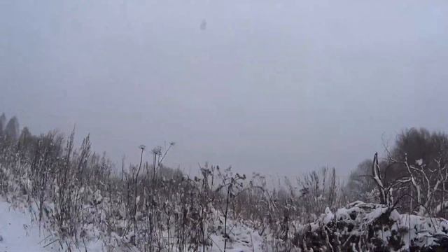 Таёжный однодневный поход в верховья реки Кожух (Кузбасс)!Красивая заснеженная тайга!