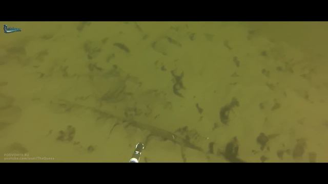 подводная охота на налима смотреть онлайн