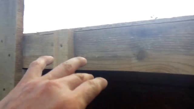 Второй день строительства шеда для кроликов. смотреть онлайн