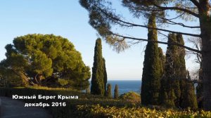Южный Берег Крыма декабрь 2016