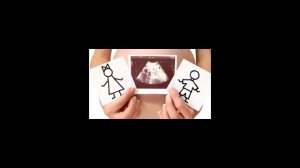 Как и когда формируется пол ребенка?