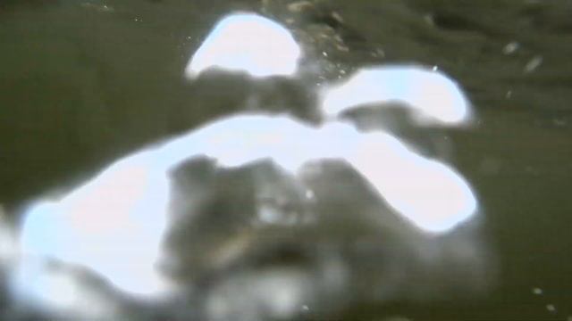 Реакция рыбы на КОНСЕРВЫ!!! Подводная съемка смотреть онлайн