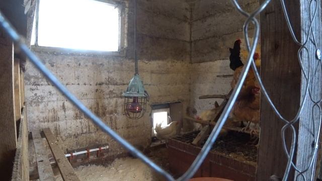 ПРОДУКТИВНЫЕ выходные ДЕНЬ ВТОРОЙ Воскресенье смотреть онлайн