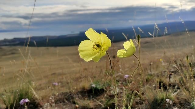 БАЙКАЛ ОЛЬХОН Смотровая площадка.