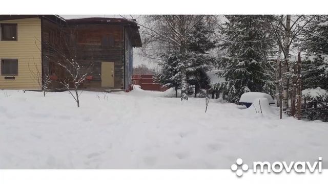 2) О нашем Байдене❤ Почему именно он? #собака_из_приюта смотреть онлайн